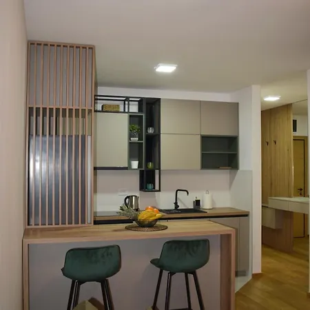 Atina 2 Apartment Novi Sad